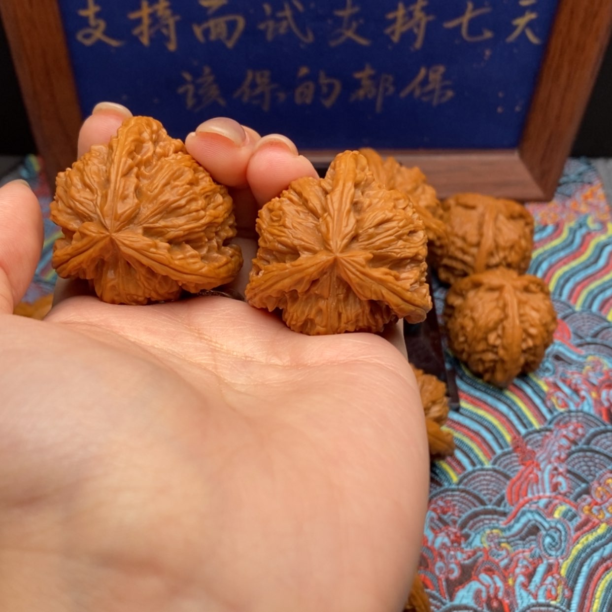 【闪购商品】T****༢白狮