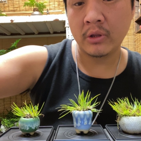 红陶禾**妹一物一拍所见即所得257