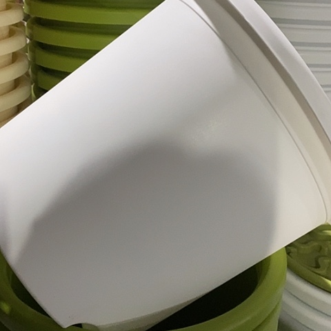 树脂四季6号纯白无托5个