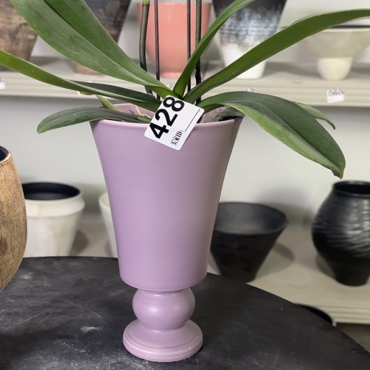 每***。哦哦哦哦哦哦哦428