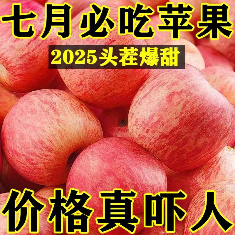 A正宗山东苹果脆甜红富士冰糖心苹果当季新鲜水果整箱批发