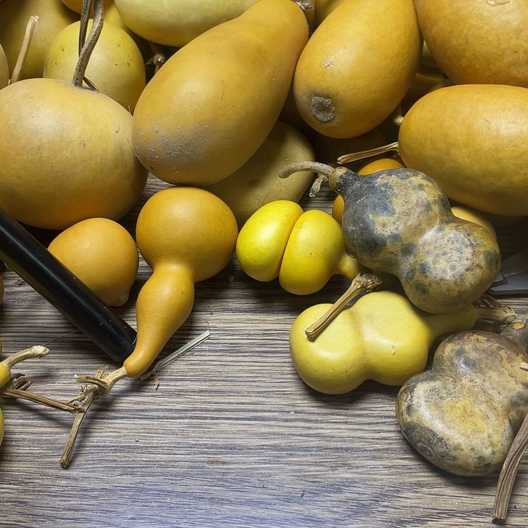 俊***羊羔毛哈哈哈聚会哈哈哈哈哈哈哈哈