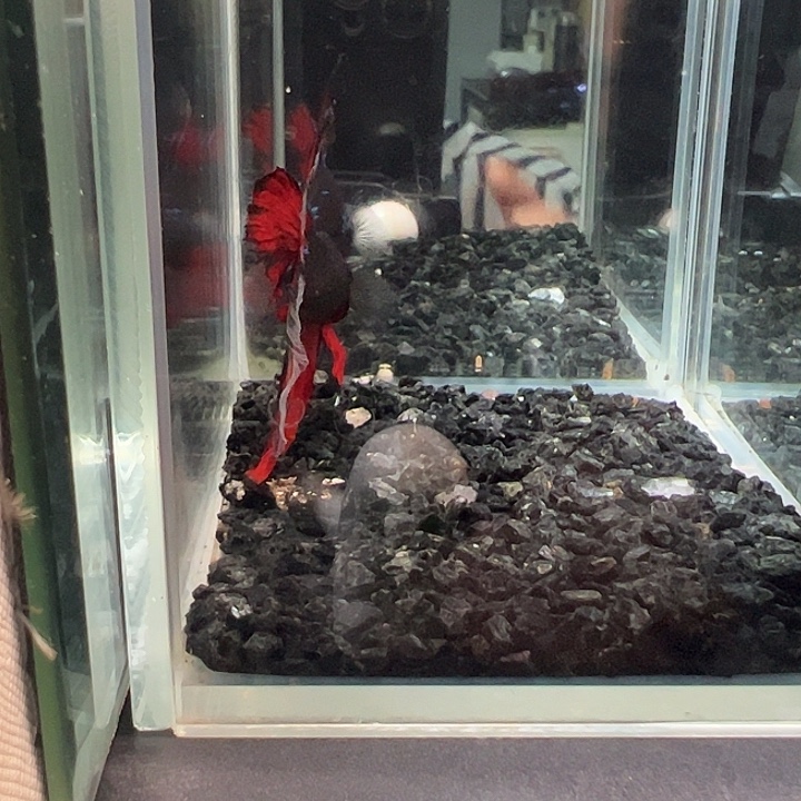 斗鱼跑单拉黑11日32