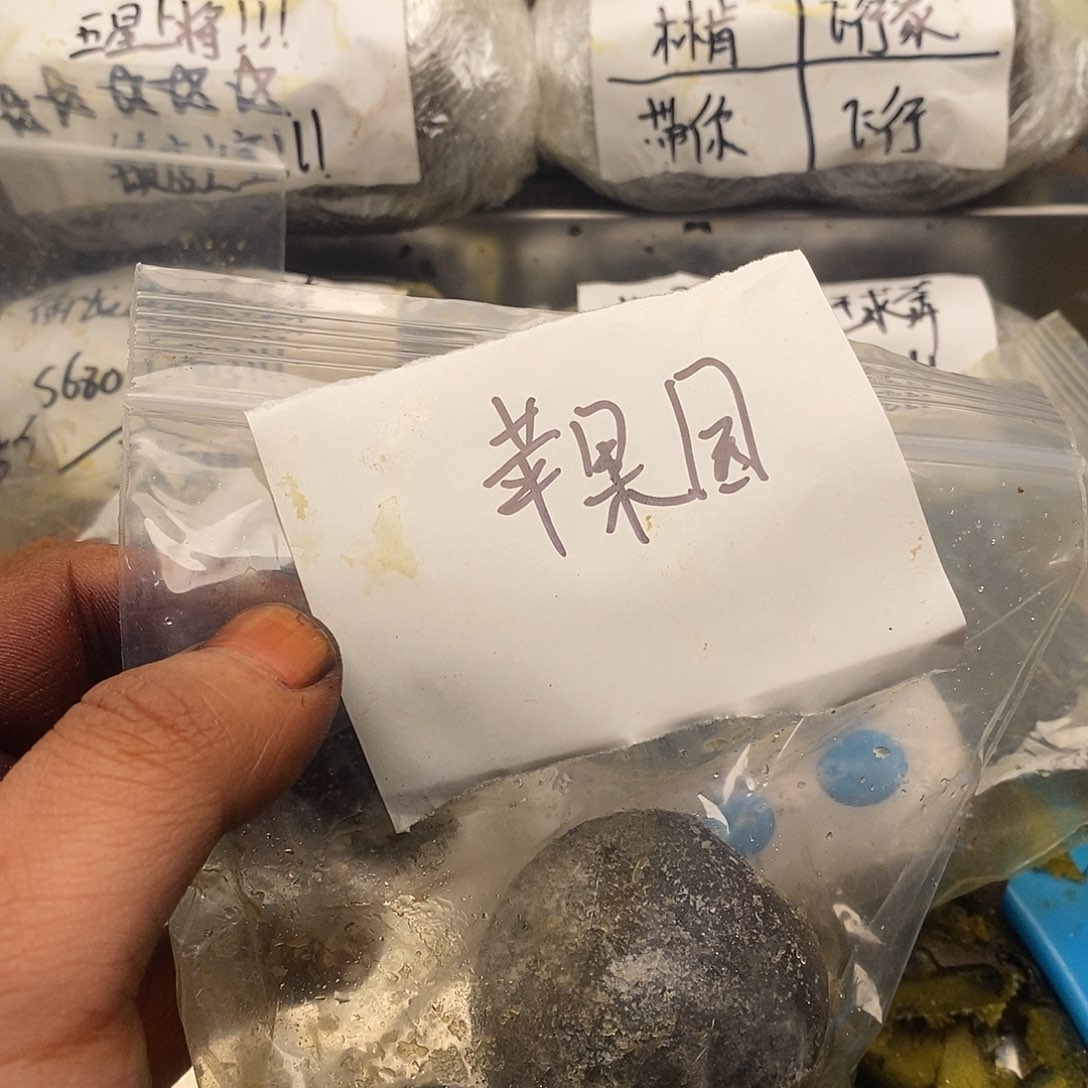 杜***_包j基本结结巴巴不好