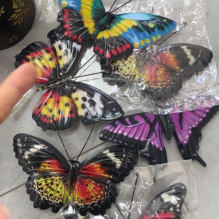 外贸孤品给力清了来了