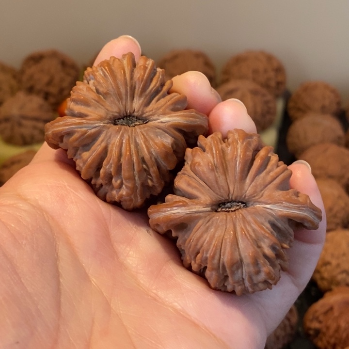 静***意核桃文玩四座楼 44