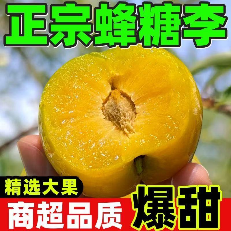 【京东包邮】正宗贵州镇宁蜂糖李纯甜新鲜现摘产地直供X