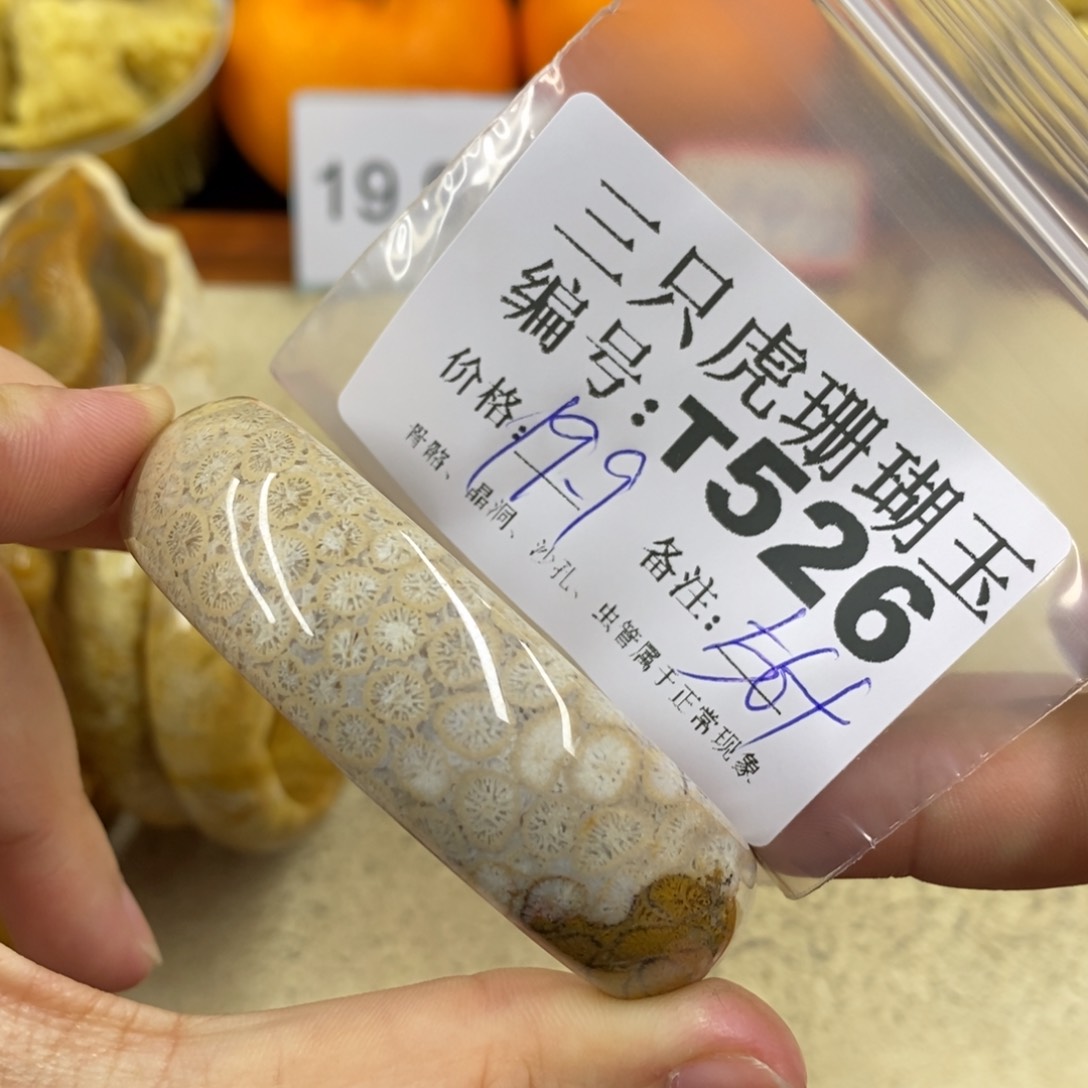 硅化珊瑚（珊瑚玉）1未镶嵌阿*