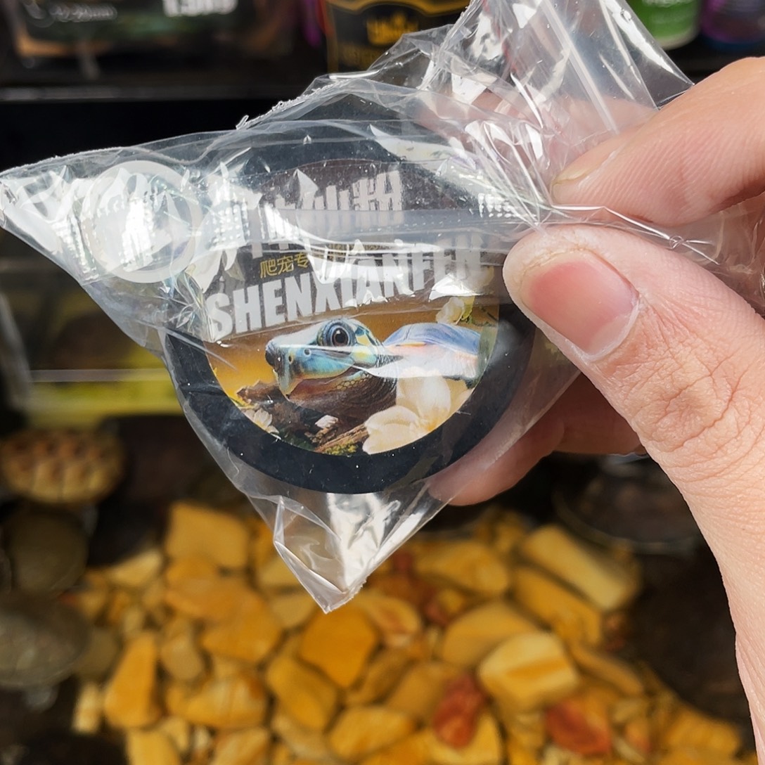 绿毛龟母点点滴滴地方地方