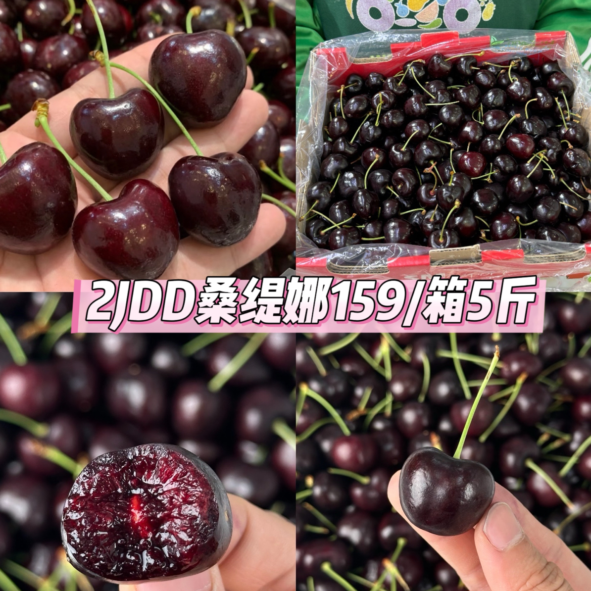 【整箱】2JDD桑缇娜车厘子1箱5斤海运桑提娜智利
