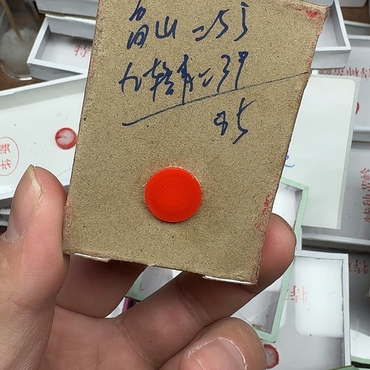 穿***者蟋蟀1111111111112111