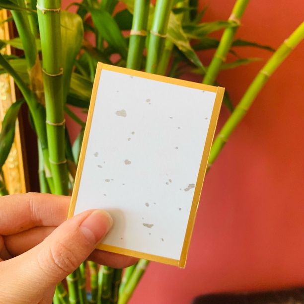 合金婚庆饰品 康必得【预防】～精美时尚饰品