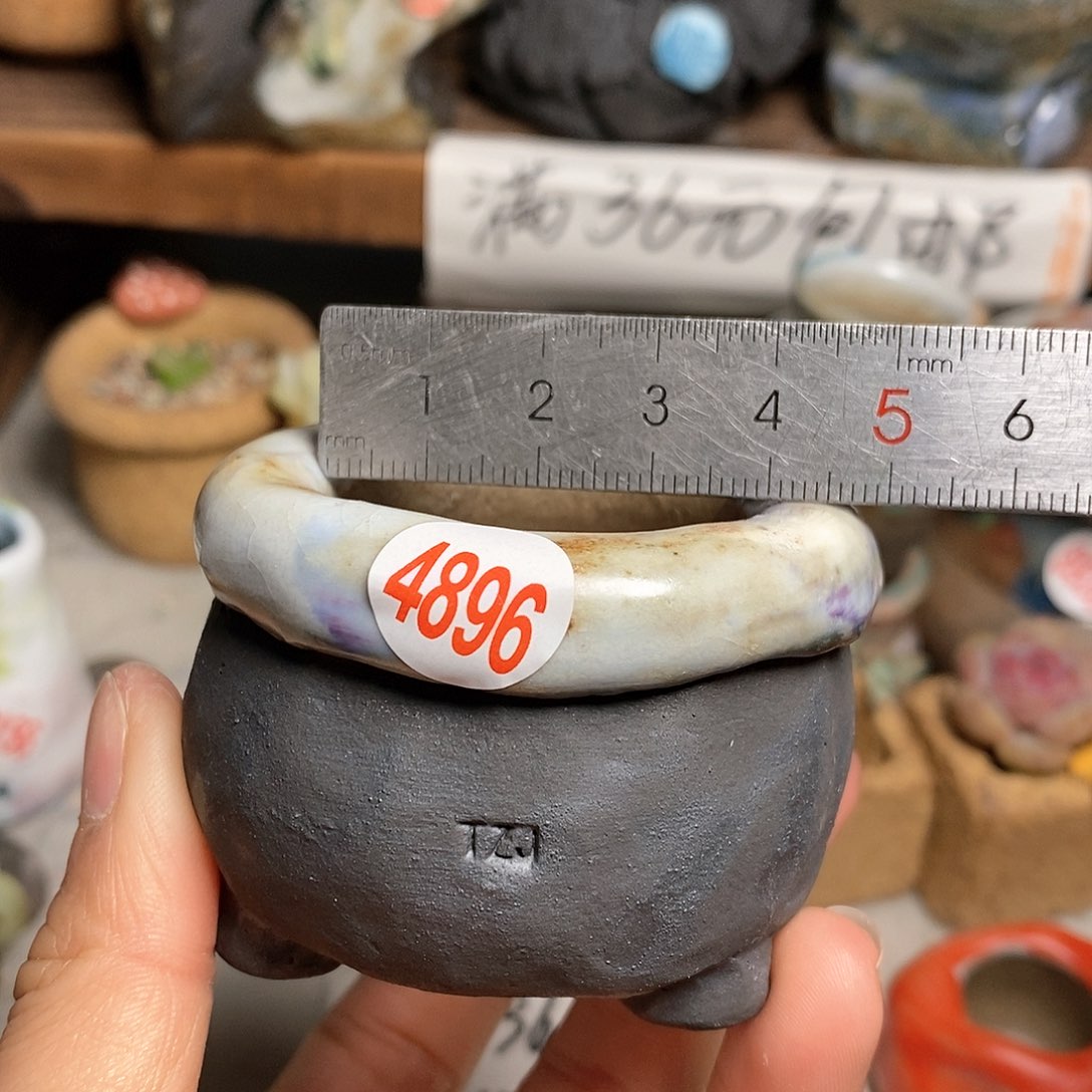 红陶拍5送一个小