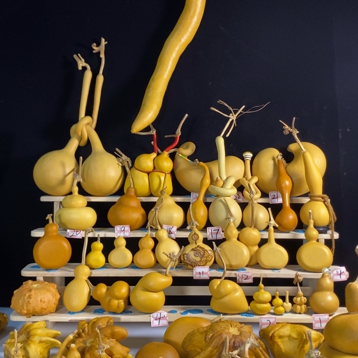 江****站111111111111111111