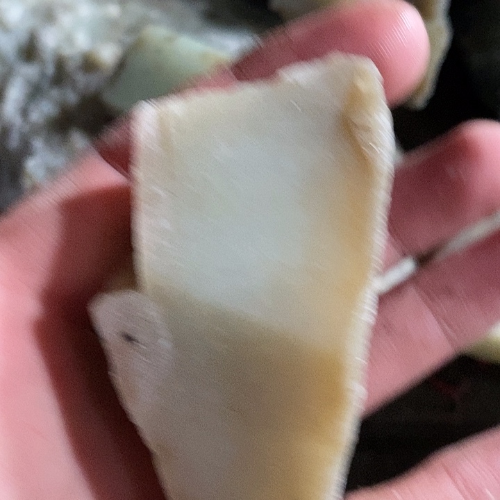 和田玉（糖玉）未镶嵌珠宝半成品