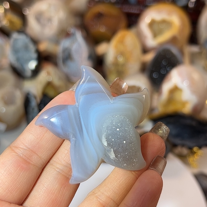 玛瑙/玉髓无未镶嵌海星