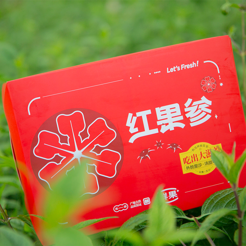 [商超级-顺丰包邮]云南红果参水果马关红果参蜘蛛果算盘果甜浆果D