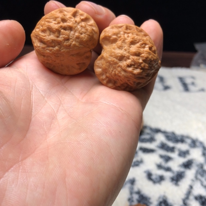 核桃小金鱼精品文玩核桃