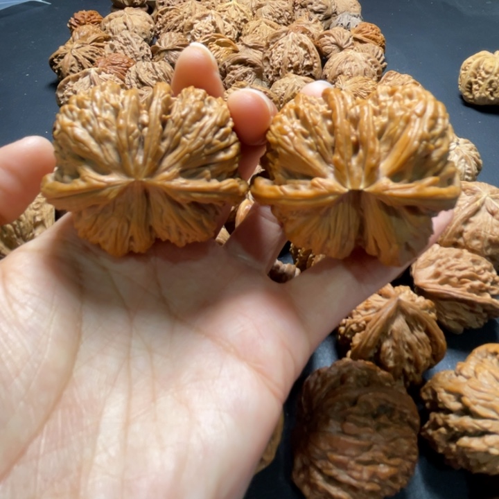 白狮子龙首球连48尺寸核桃