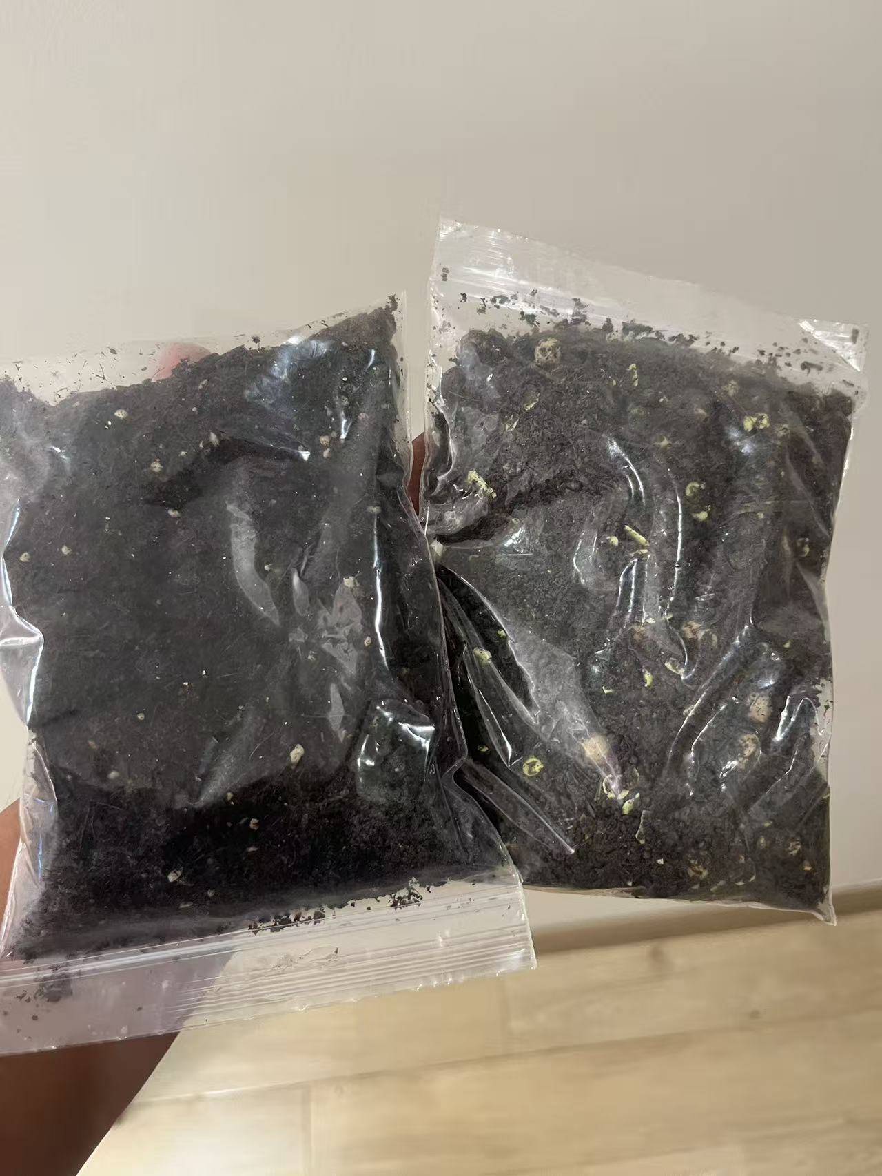 【自制化肥】营养催根自制豆肥
