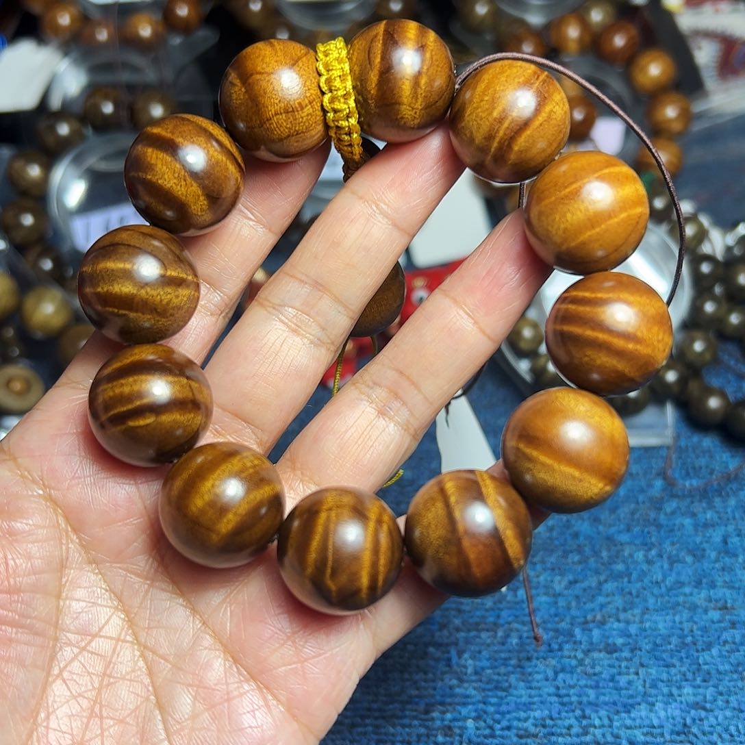 金丝楠喵*喵2.0西瓜波枯木