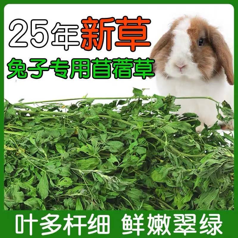 兔子粮草苜蓿草全叶紫花豚鼠吃的饲料烘干牧草荷兰猪专用苜宿草料