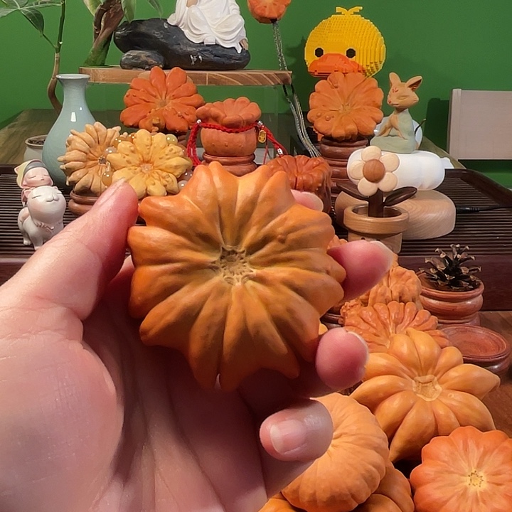 墨西哥葫芦手把小飞翅