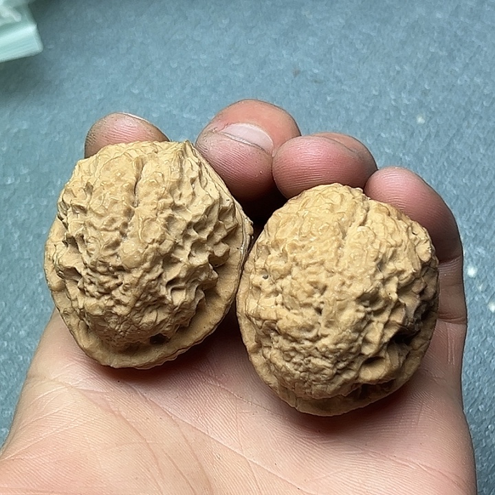 文玩核桃把件22号蟾祖39尺