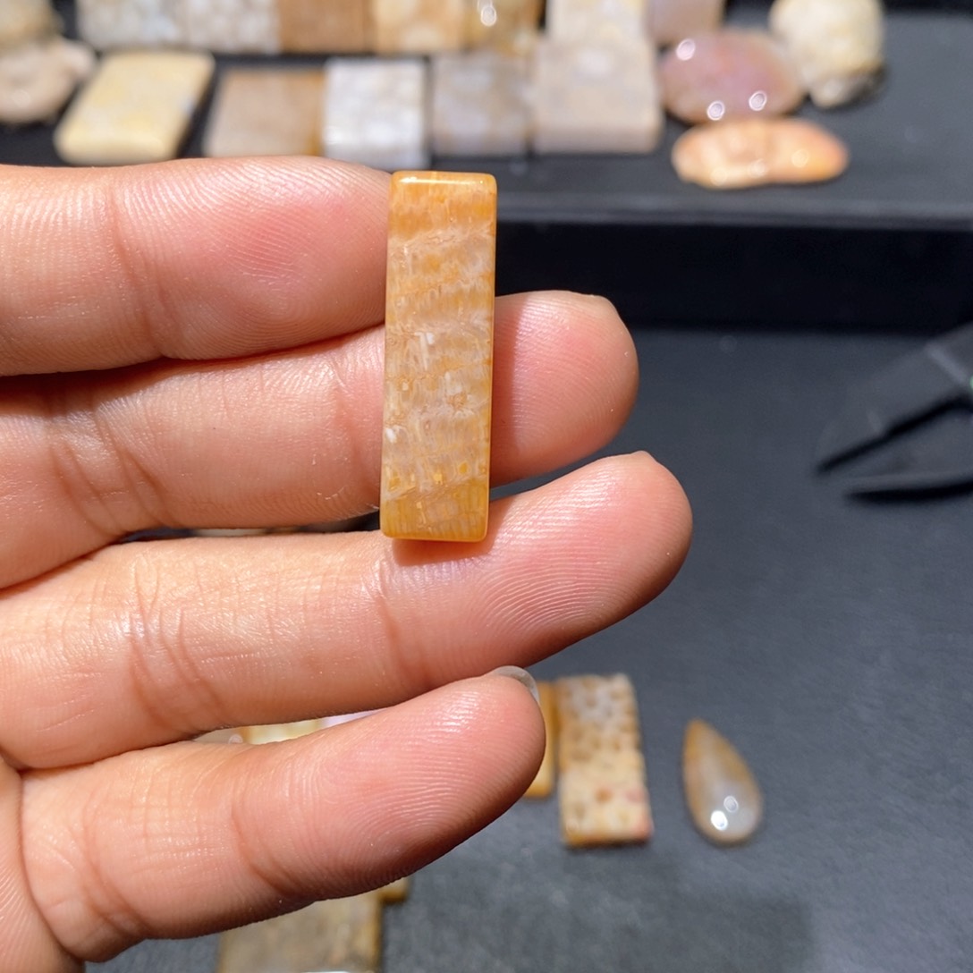 【闪购商品】硅化玉颈饰未镶嵌