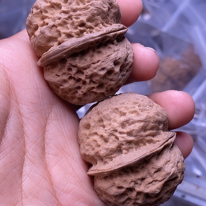 把件文玩核桃   143