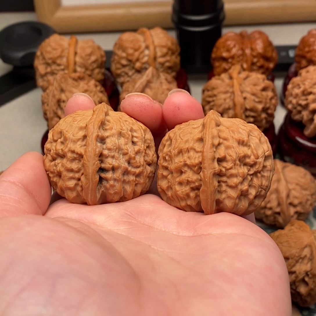 文玩核桃把件伸***先36尺白狮子