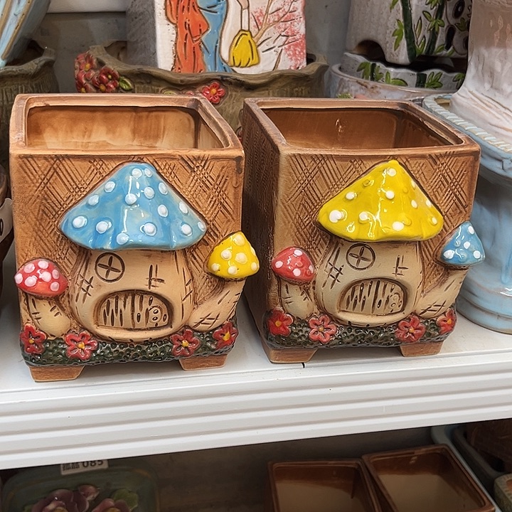 粗陶材质多肉花盆