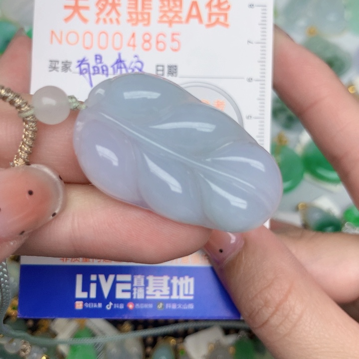 翡翠未镶嵌颈饰叶子