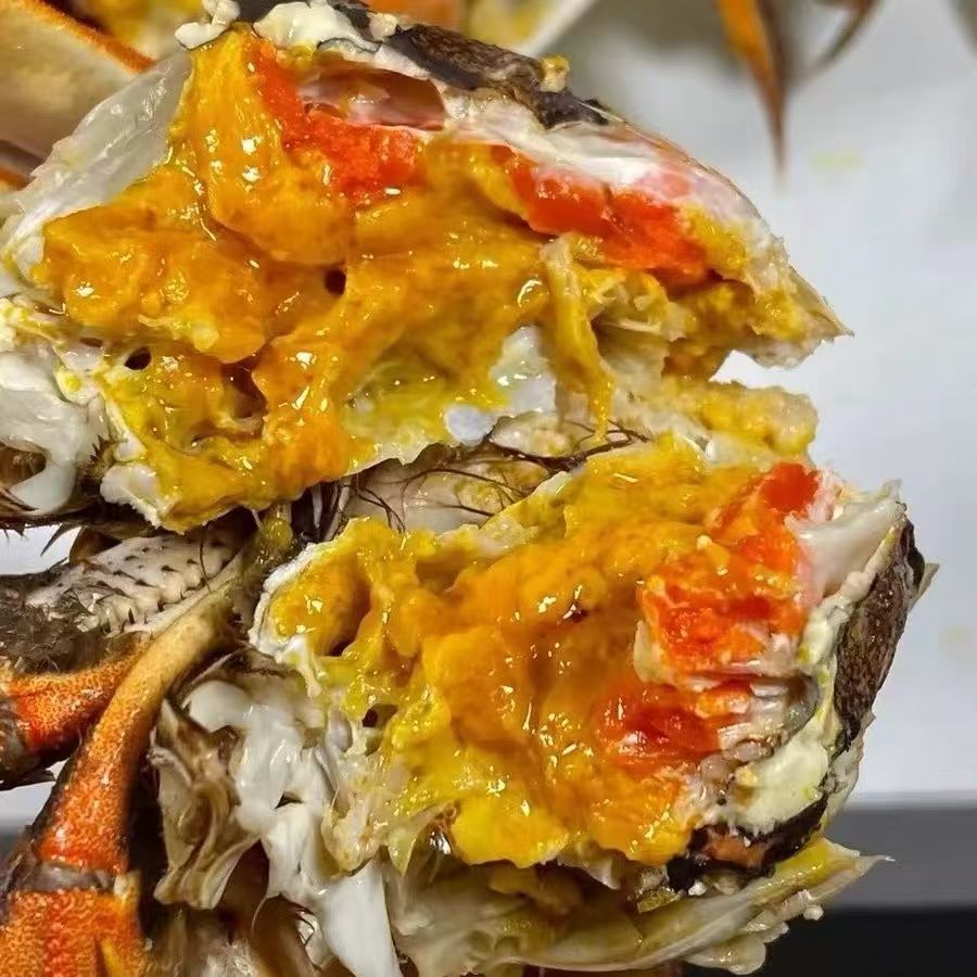 活蟹【盘锦河蟹产地顺丰直发】母蟹（1.6-1.4两/只1-1.3两/只/1-0.8两/只）有硬黄嗷嗷香30只/25只/20只wg海鲜