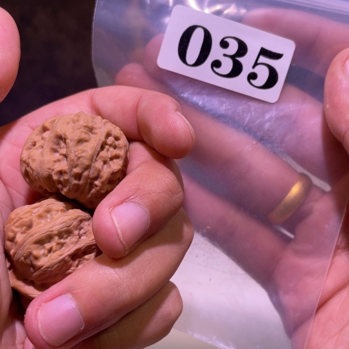 吊坠文玩核桃035门头沟34尺