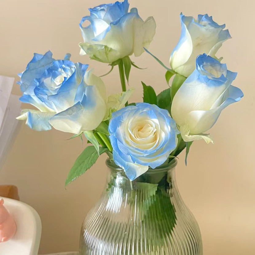 10支喷色碎冰蓝玫瑰，家居鲜花  