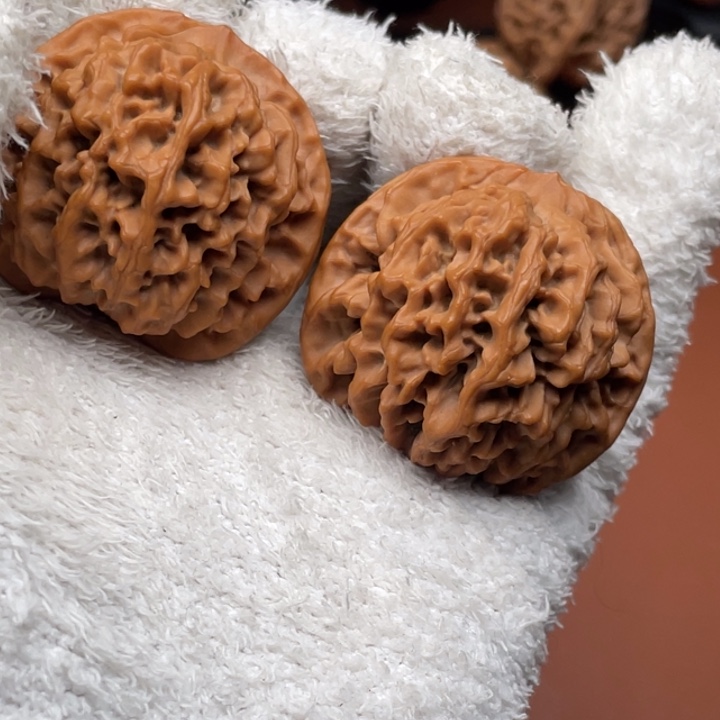 兆***强木质类秦核的一个小秘密是在他身上找到