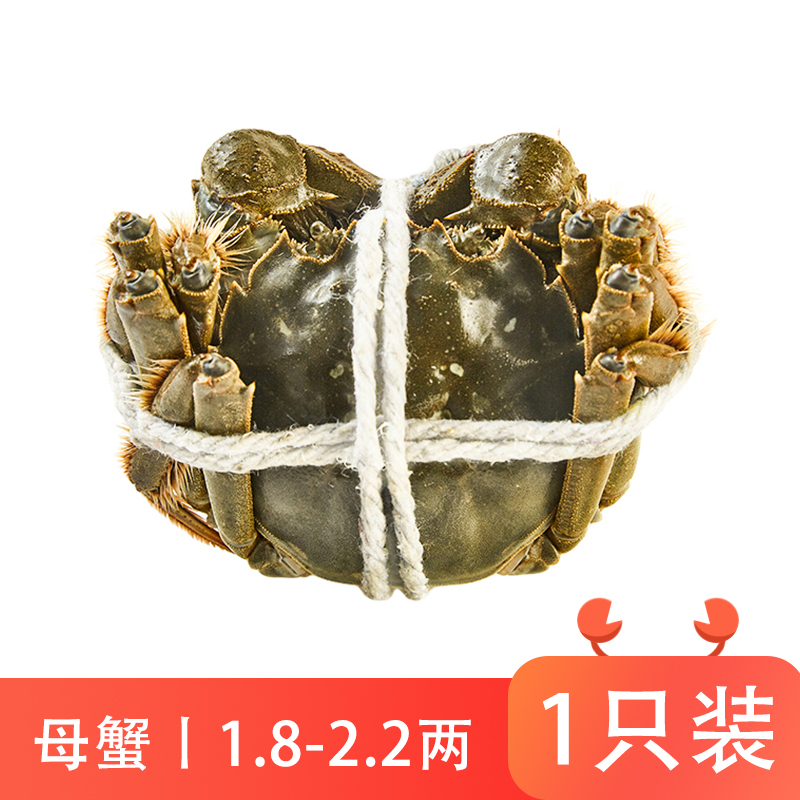 鲜活大闸蟹(母蟹)90-110g/只