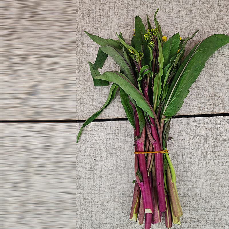 兴文特产共乐新鲜红油菜