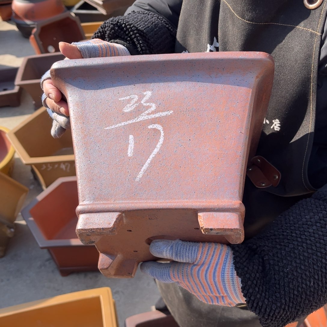 紫砂花盆盆景艺术