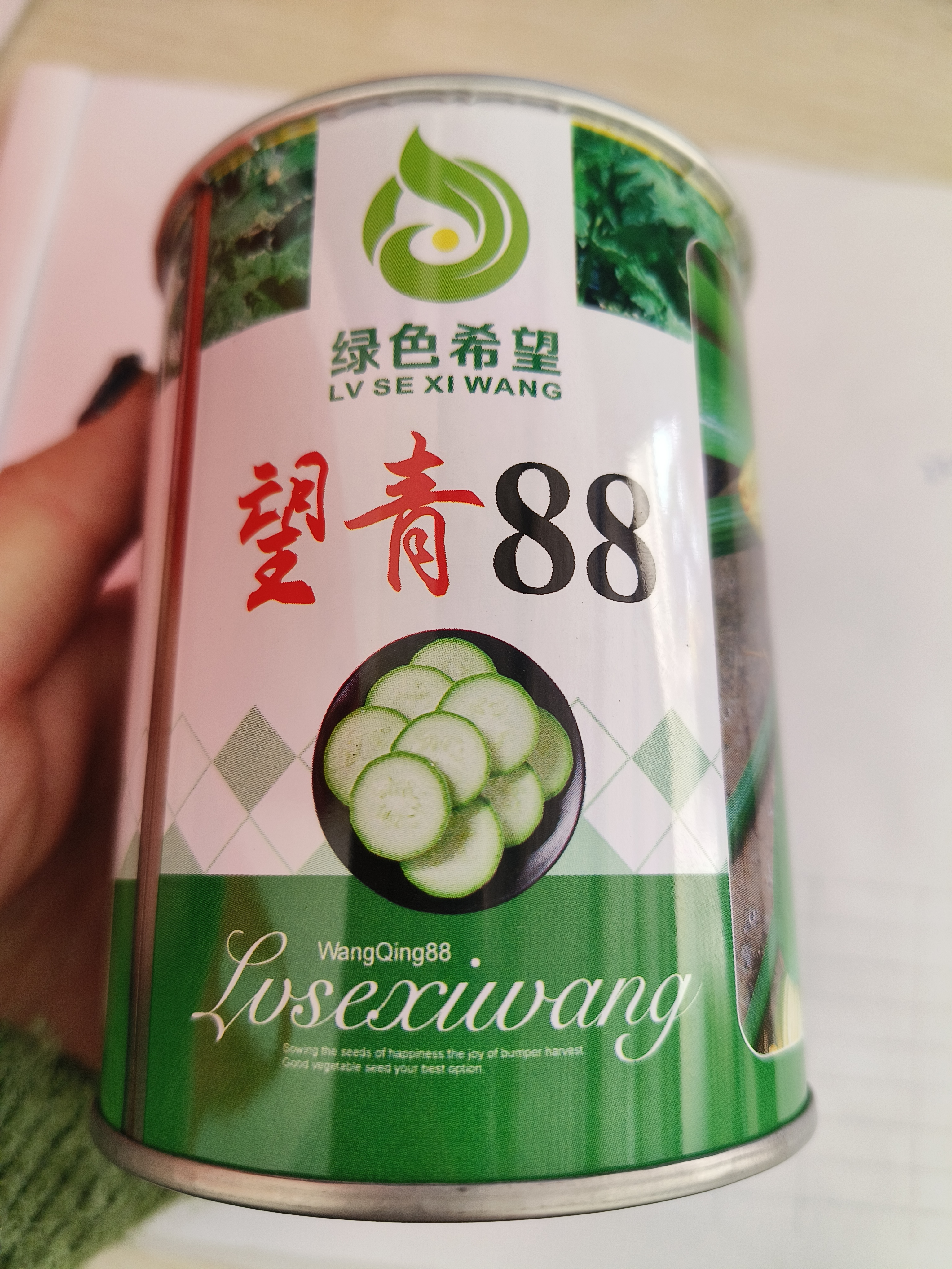 西葫芦望青88瓜绿瓜直