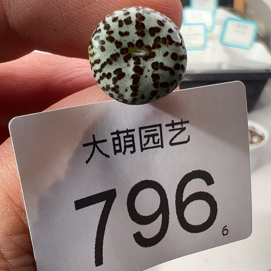 0000796 一物一拍……