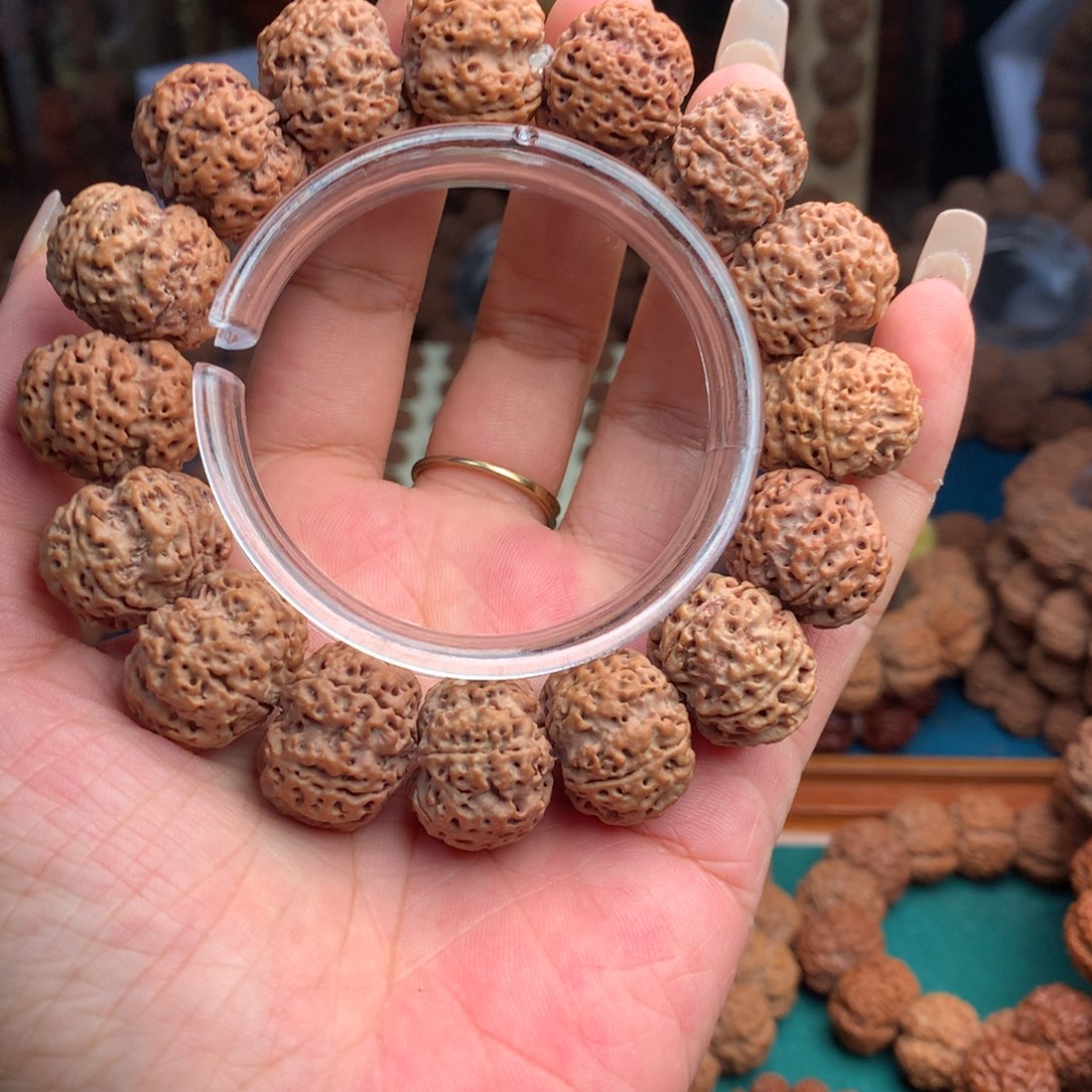 手串金刚菩提蜂王矮桩