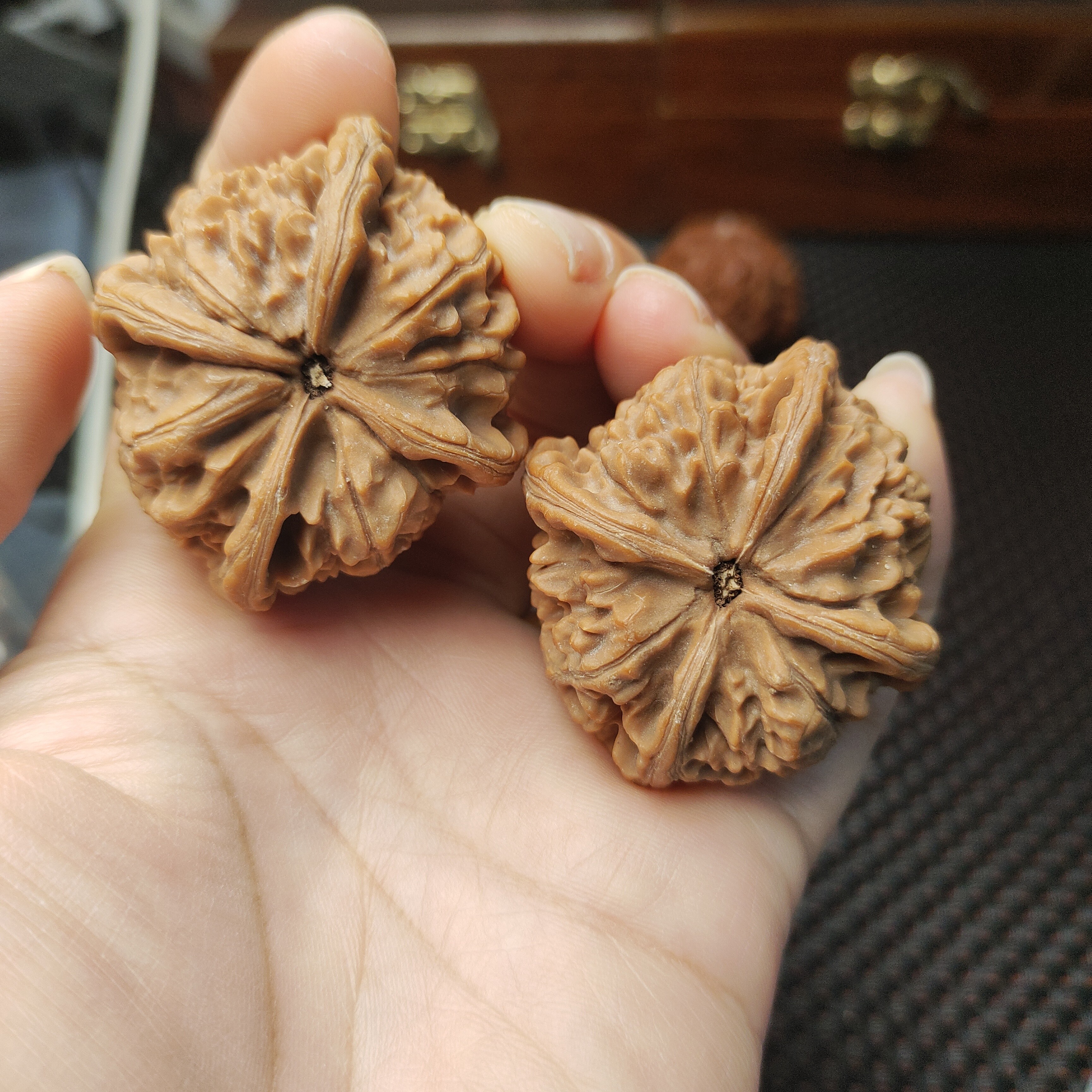 文玩核桃48/44全品玉玺四棱