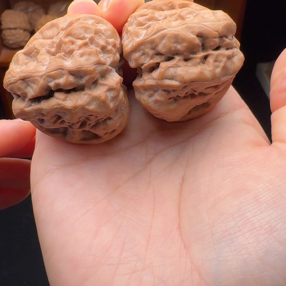 文玩核桃闪购商品三角箭毒蛙38