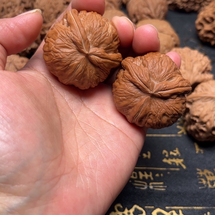 ****定元宝异性有修有色差有阴皮