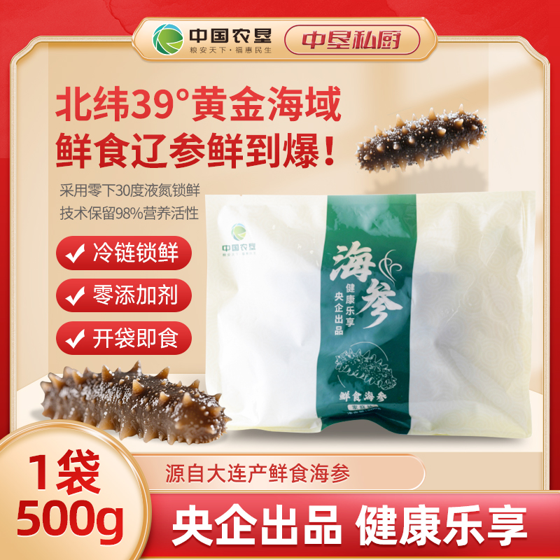 【中国农垦】鲜食海参 12-16头/斤 严选正宗国产海参辽参营养