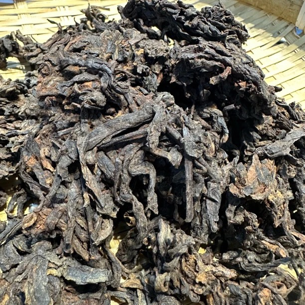 2016年 小荒田 老茶头
