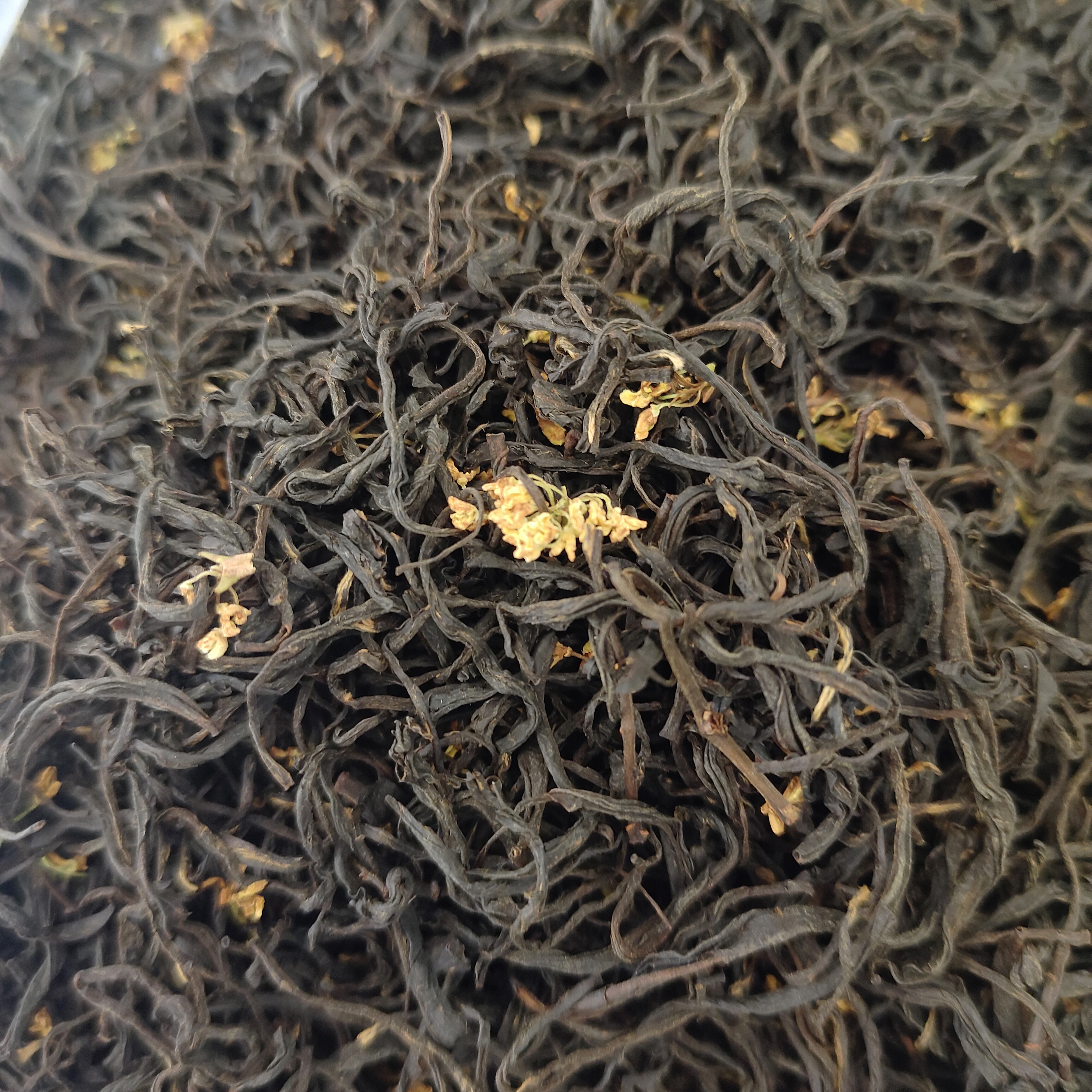 【鲜灵桂花香信阳红茶】3窨制桂花香红茶香醇温润果香花香谷雨春茶