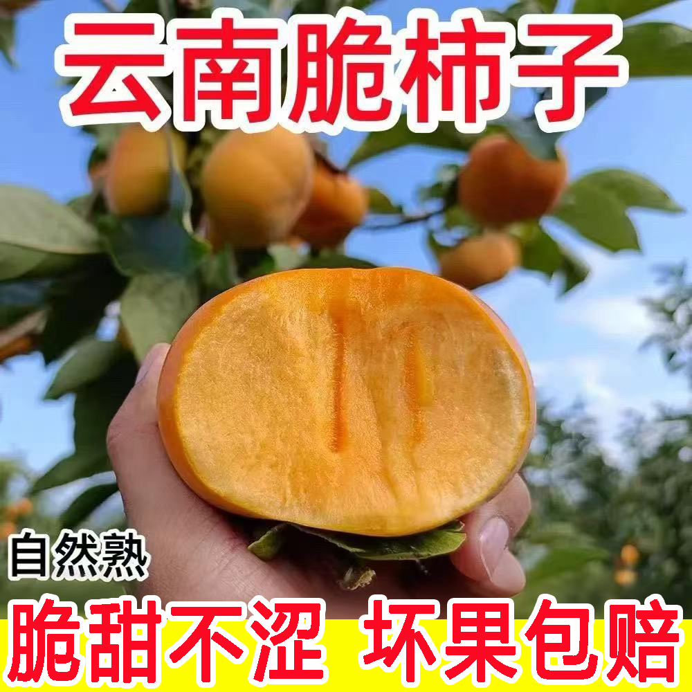 巧克力脆柿子新鲜水果当季黄甜硬柿子火晶特产大果整箱包邮